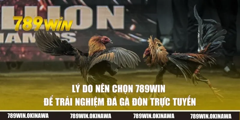 Lý do nên chọn 789WIN để trải nghiệm đá gà trực tuyến